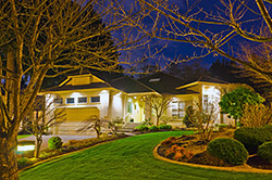 Low Voltage Lights