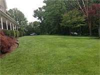 Lawn Maintenance