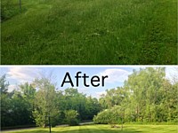Lawn Maintenance